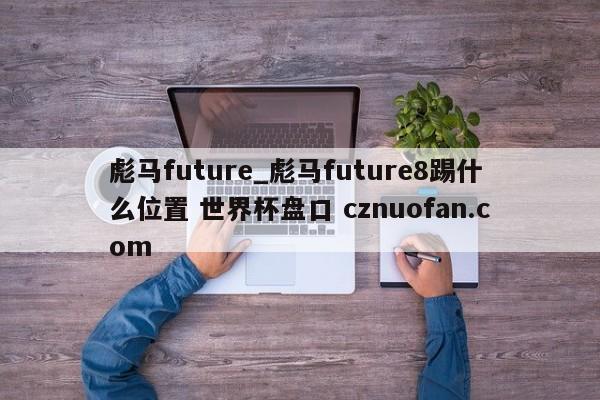 彪马future_彪马future8踢什么位置 世界杯盘口 cznuofan.com