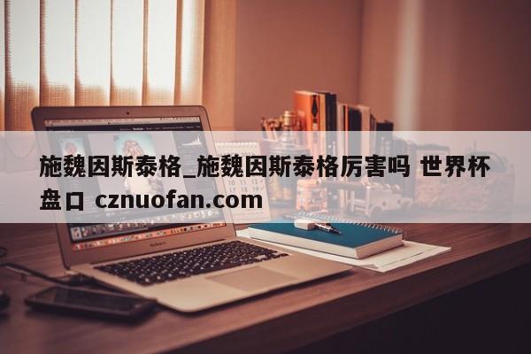 施魏因斯泰格_施魏因斯泰格厉害吗 世界杯盘口 cznuofan.com